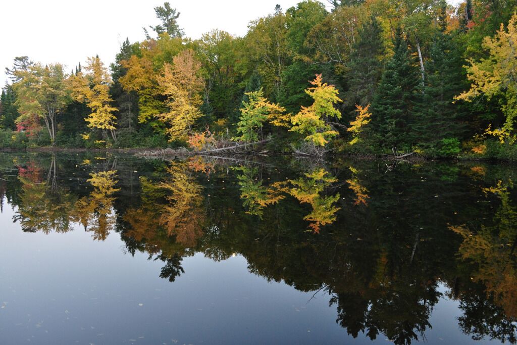Photo of Outdoor in Port Loring