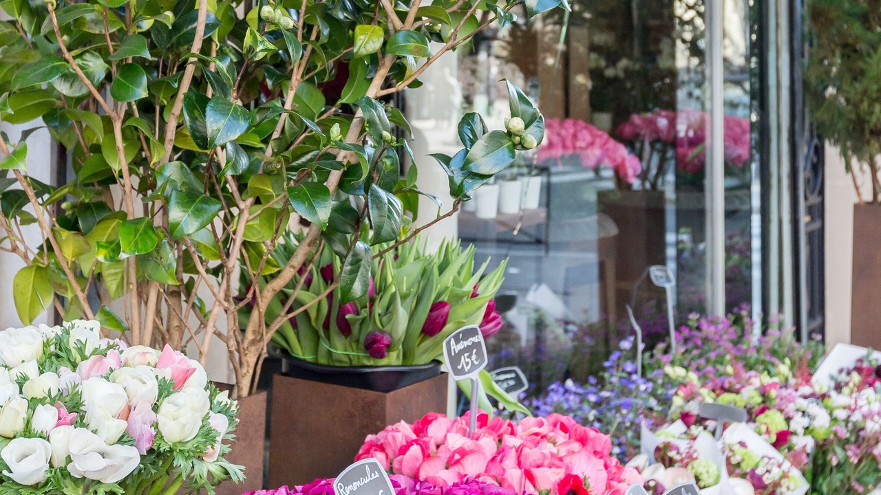 Photo of Outdoor in Auteuil