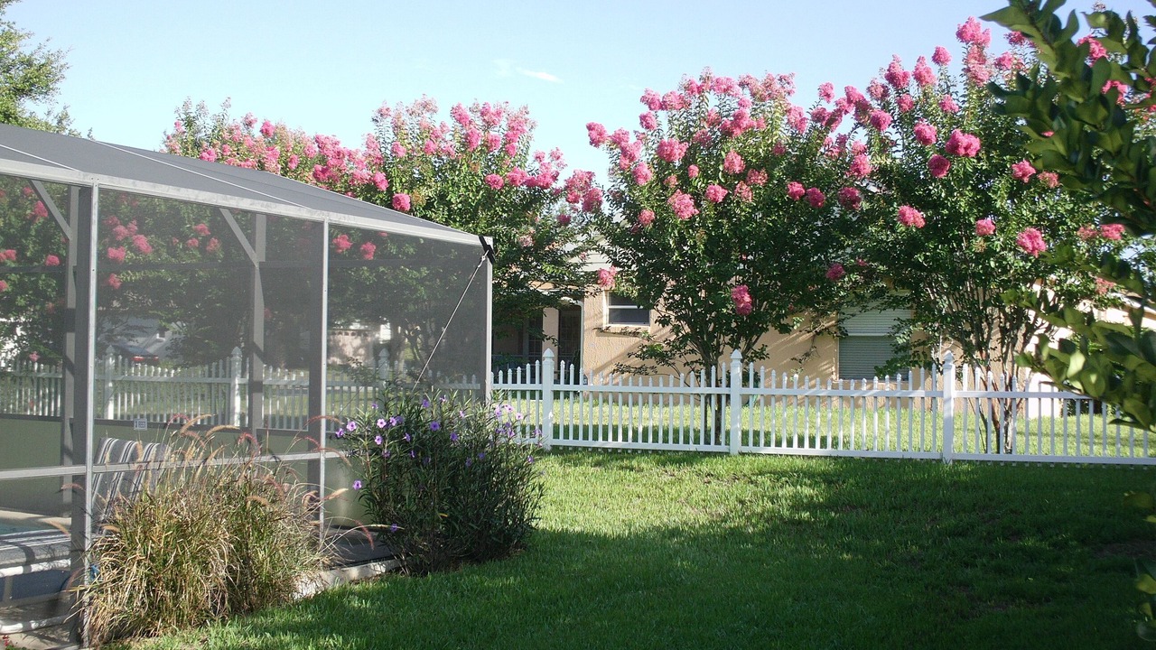 Photo of Outdoor in Orange Tree