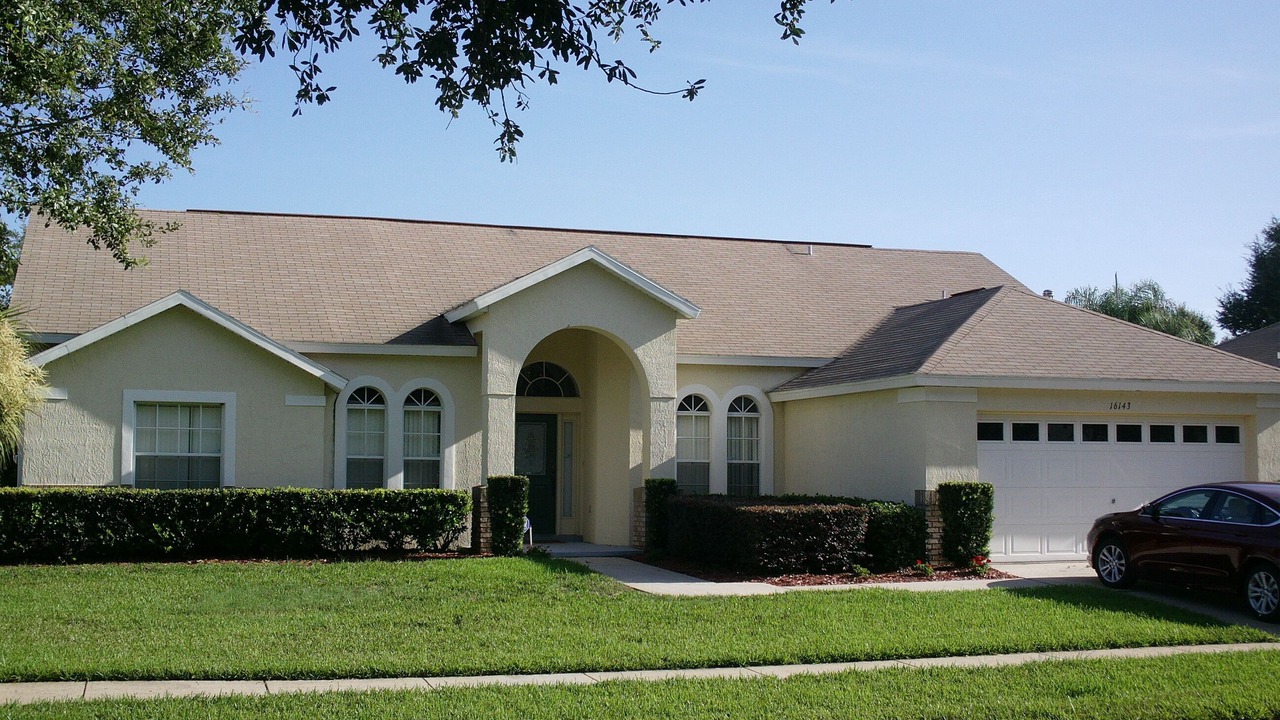 Photo of Outdoor in Orange Tree