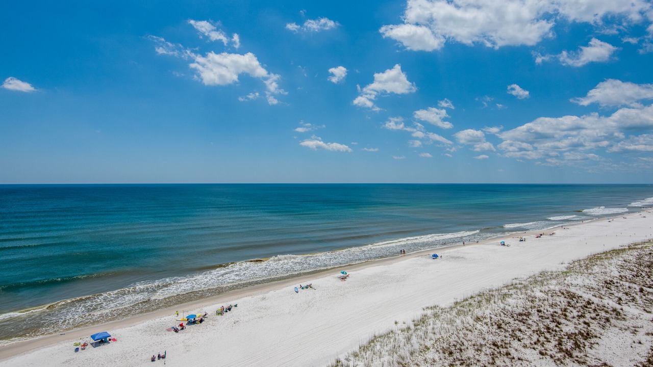 Photo of Others in Pensacola Beach