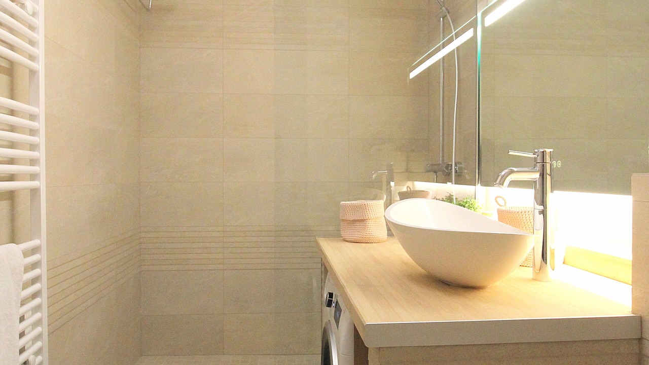 Photo of Bathroom in Serris