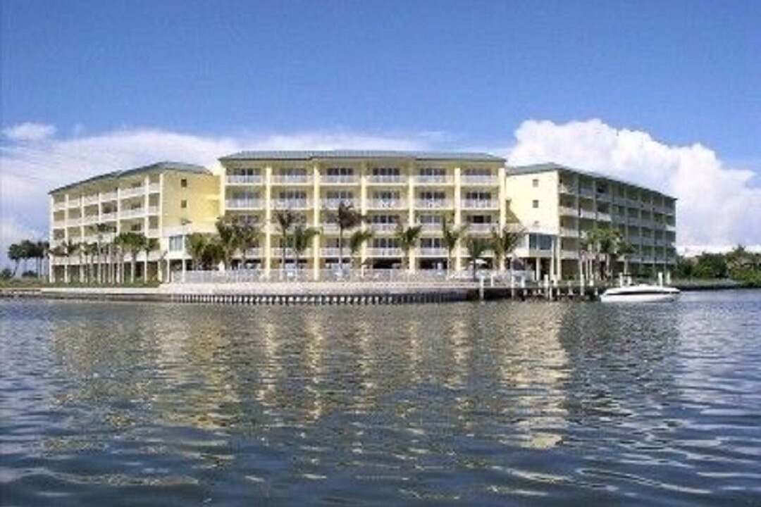 Photo of Outdoor in St. Petersburg - Clearwater