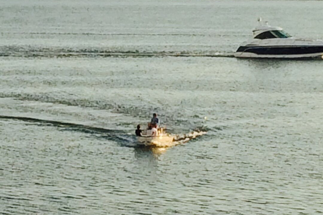 Photo of Others in St. Petersburg - Clearwater