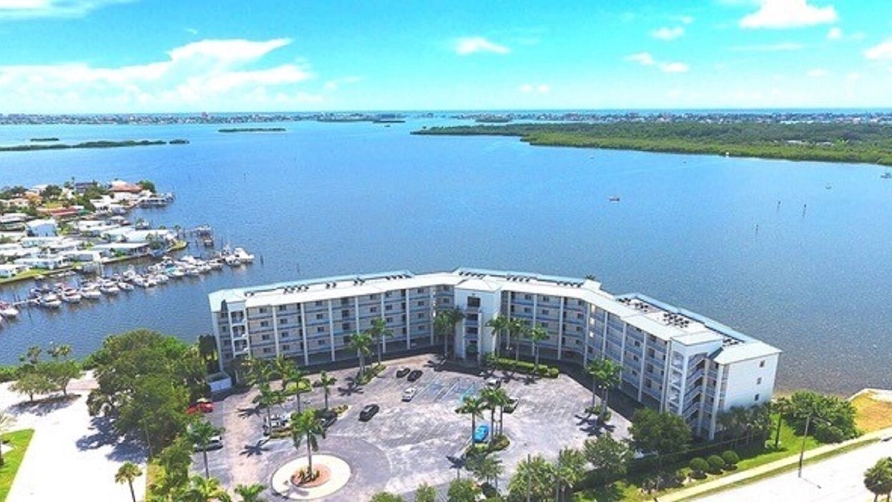 Photo of Outdoor in St. Petersburg - Clearwater