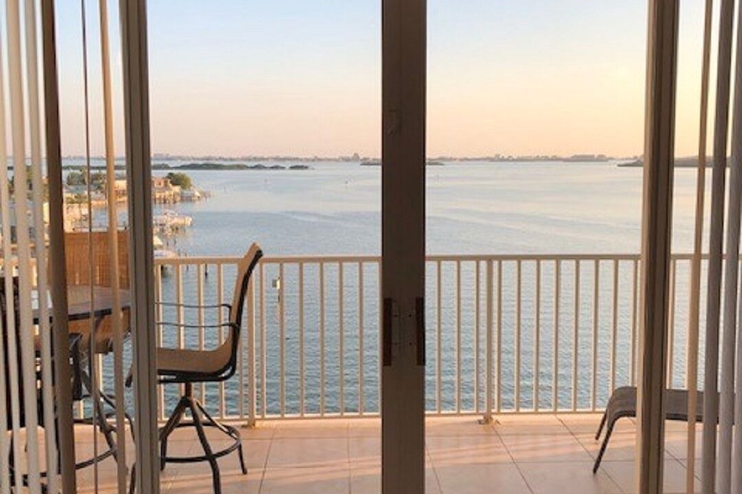 Photo of Outdoor in St. Petersburg - Clearwater