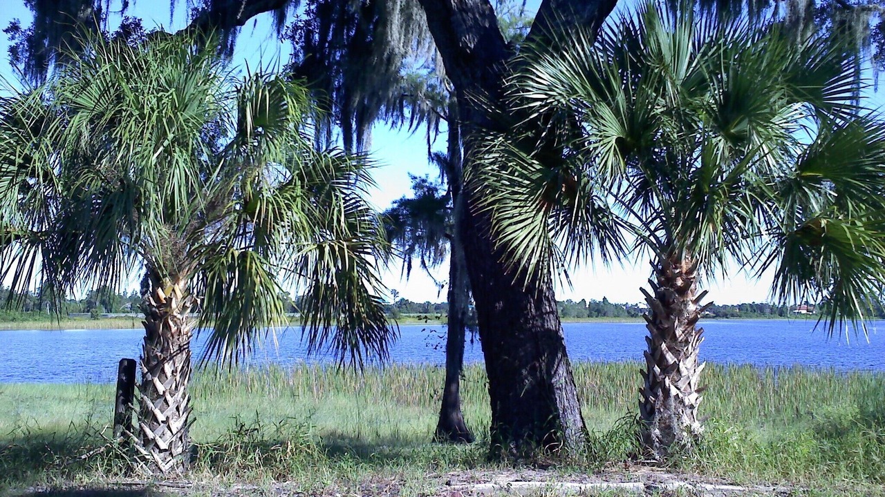 Photo of Others in Bay Lake
