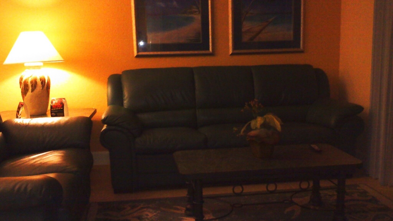 Photo of Livingroom in Bay Lake