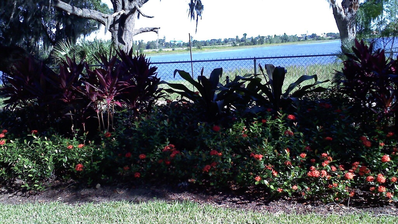 Photo of Outdoor in Bay Lake