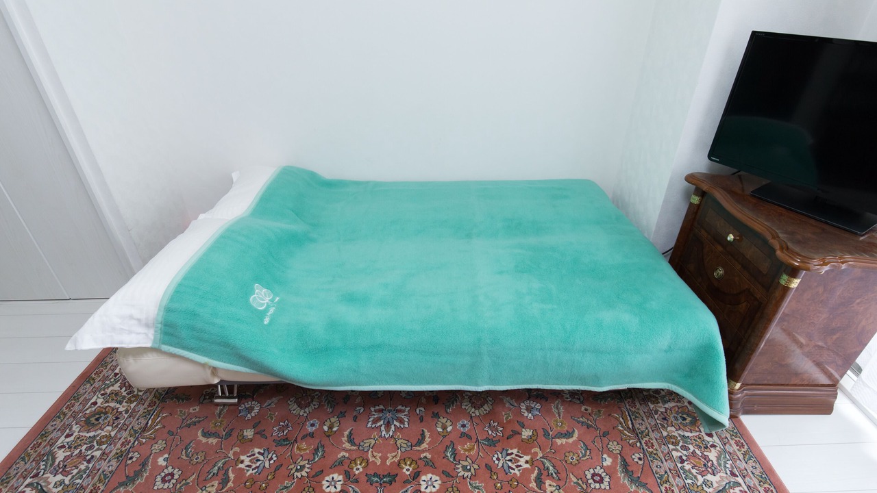 Photo of Bedroom in Hyakunincho