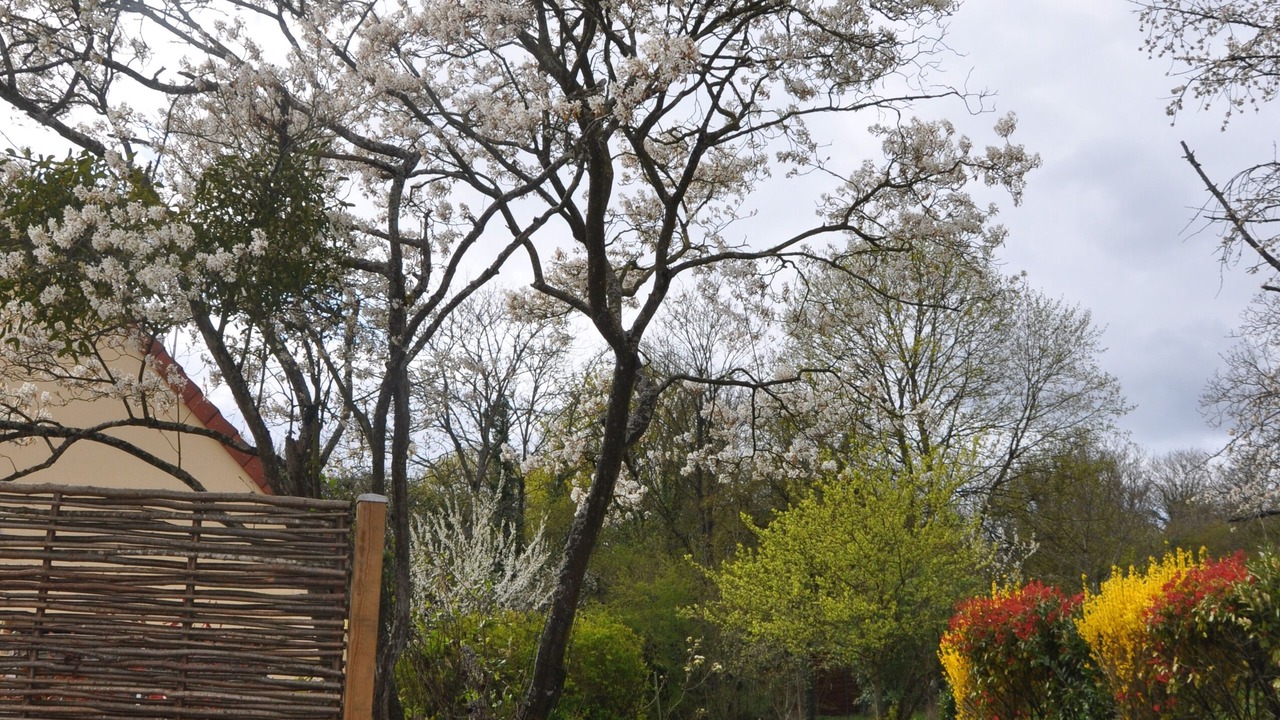 Photo of Outdoor in Couilly-Pont-aux-Dames