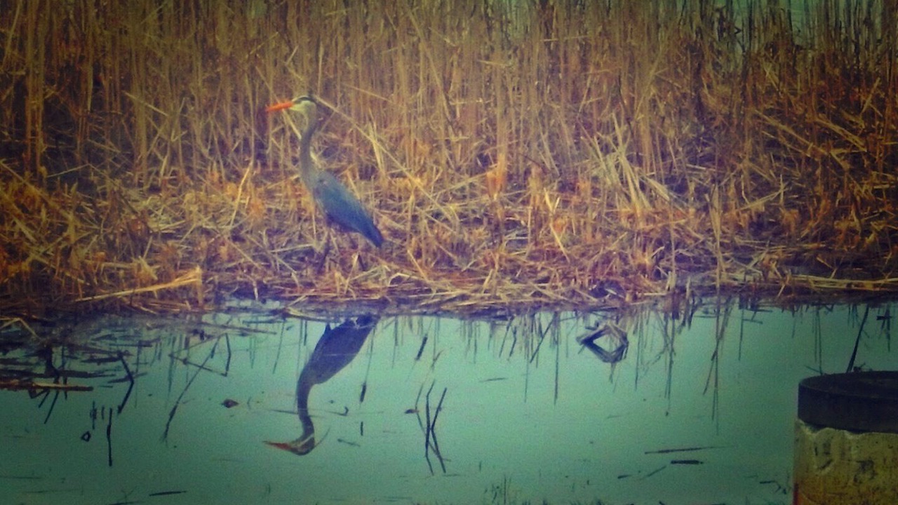 Photo of Others in Milford