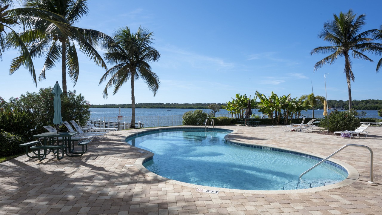 Photo of Outdoor in St. Petersburg - Clearwater
