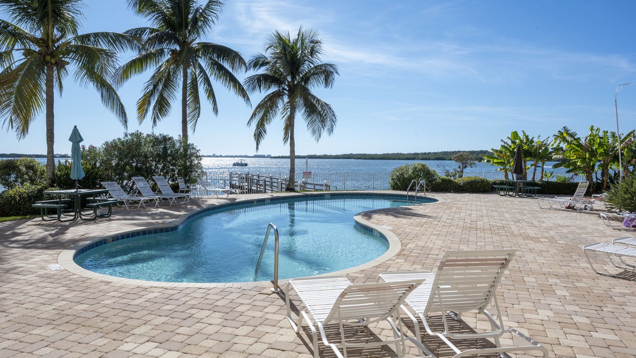 Photo of Outdoor in St. Petersburg - Clearwater