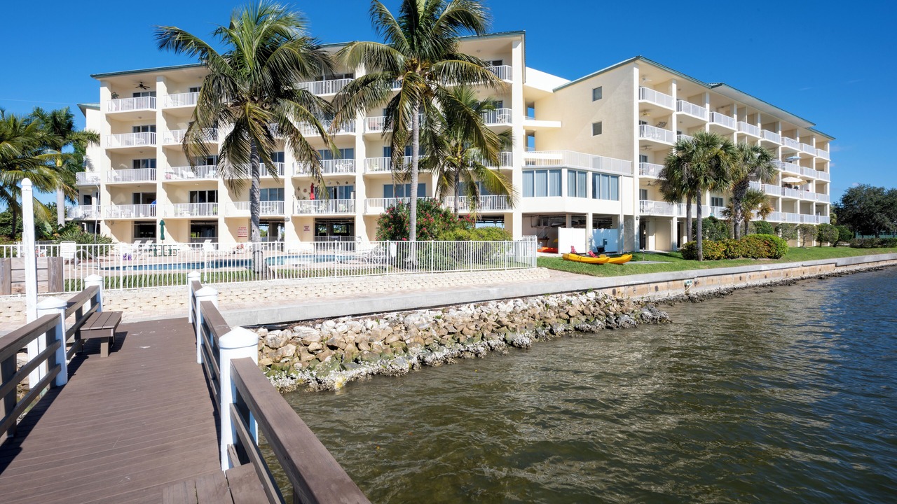 Photo of Outdoor in St. Petersburg - Clearwater