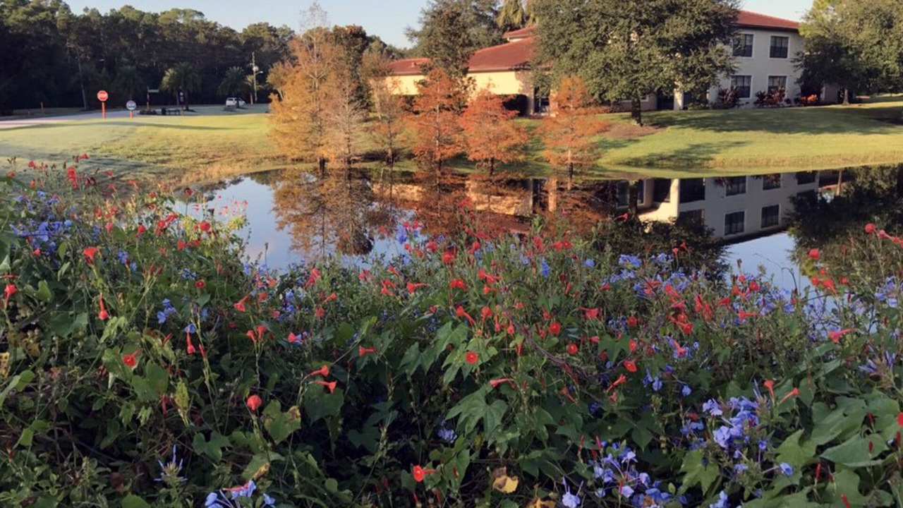 Photo of Outdoor in Orange Lake
