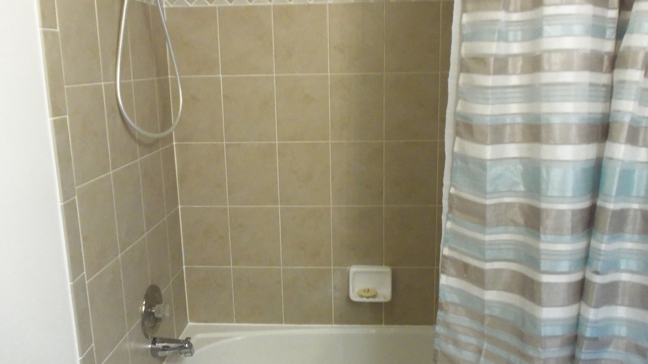 Photo of Bathroom in Old Seminole Heights