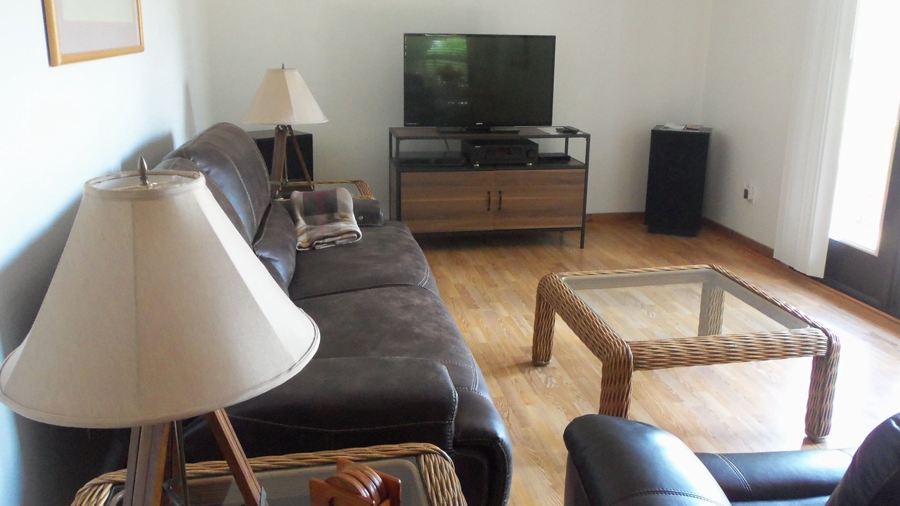 Photo of Livingroom in Old Seminole Heights