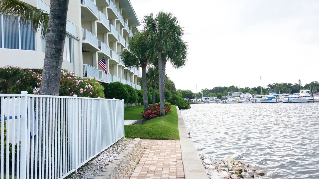 Photo of Outdoor in St. Petersburg - Clearwater