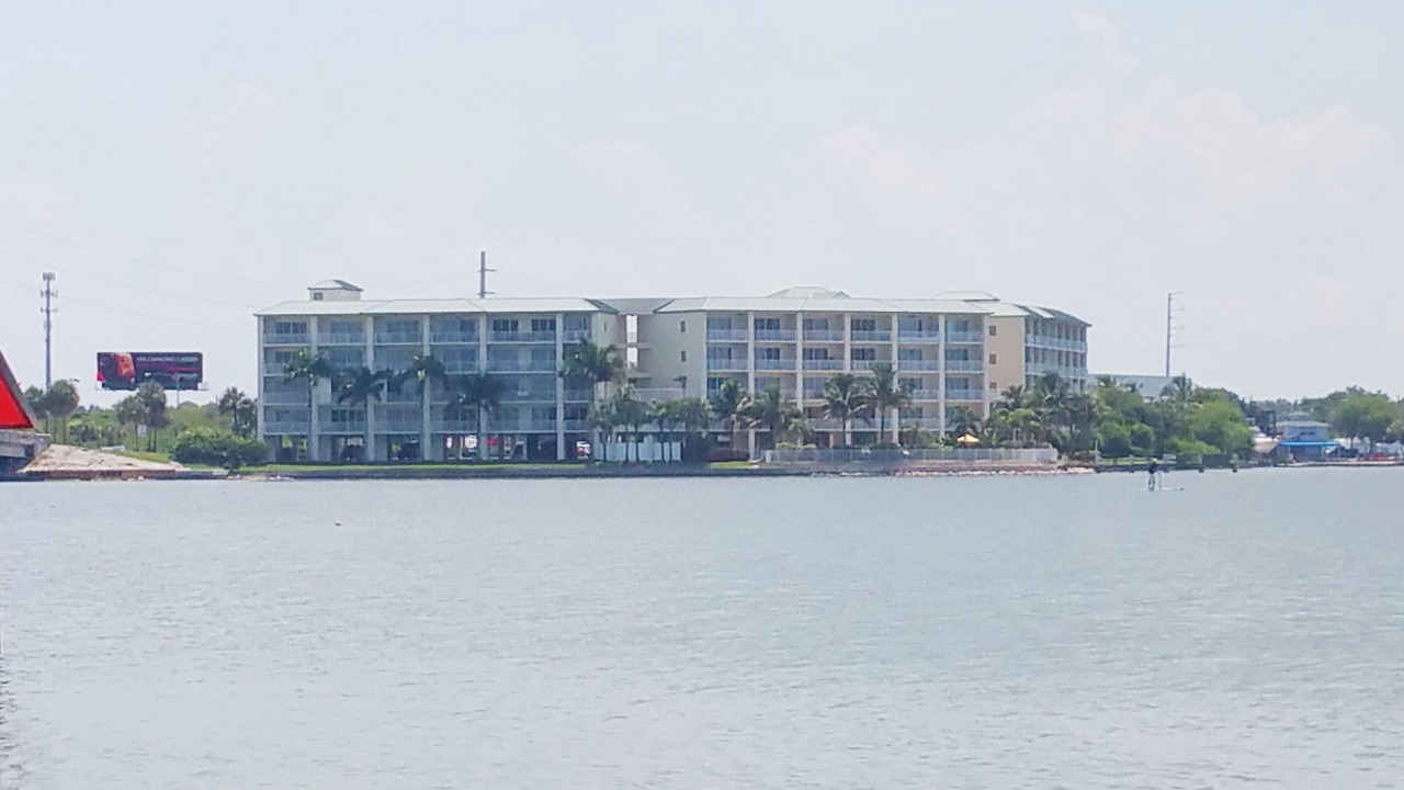 Photo of Outdoor in St. Petersburg - Clearwater