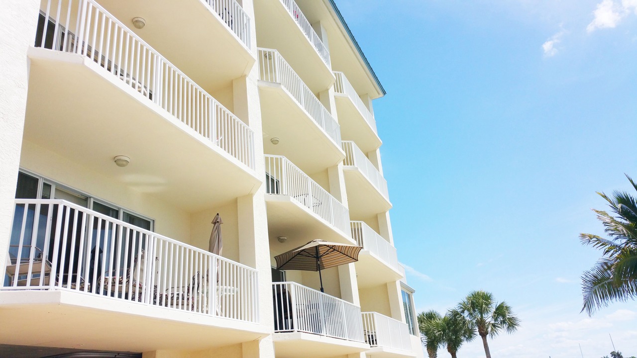 Photo of Outdoor in St. Petersburg - Clearwater