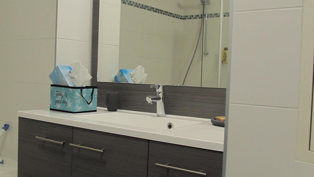 Photo of Bathroom in Montrouge