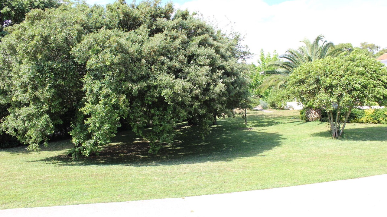 Photo of Outdoor in Grosseto-Prugna