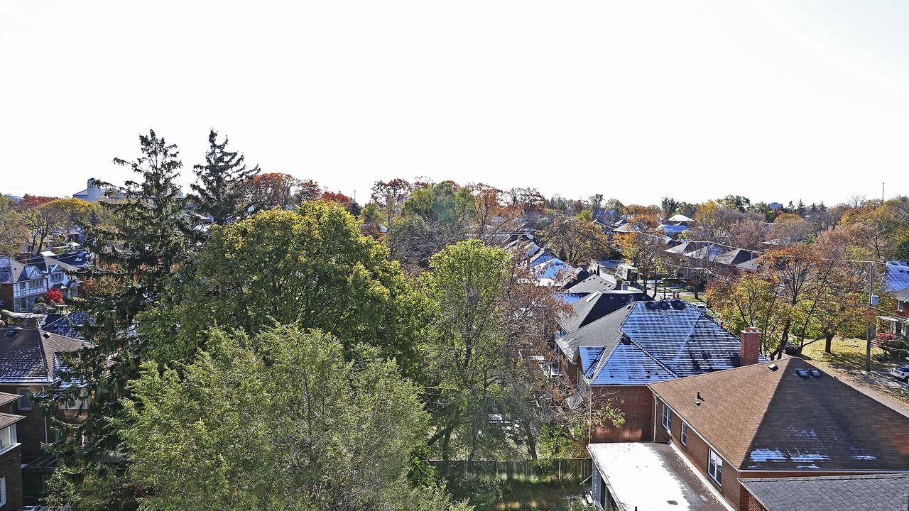 Photo of Others in Cedarvale
