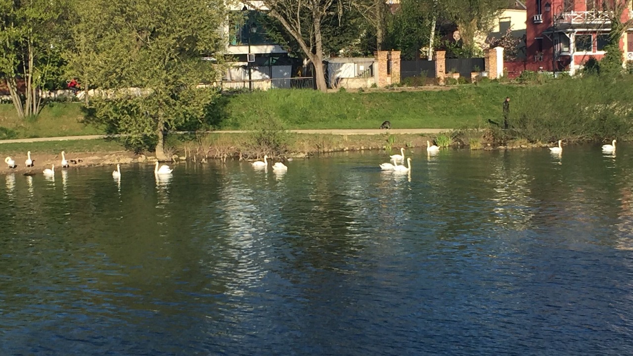 Photo of Others in Bry-sur-Marne