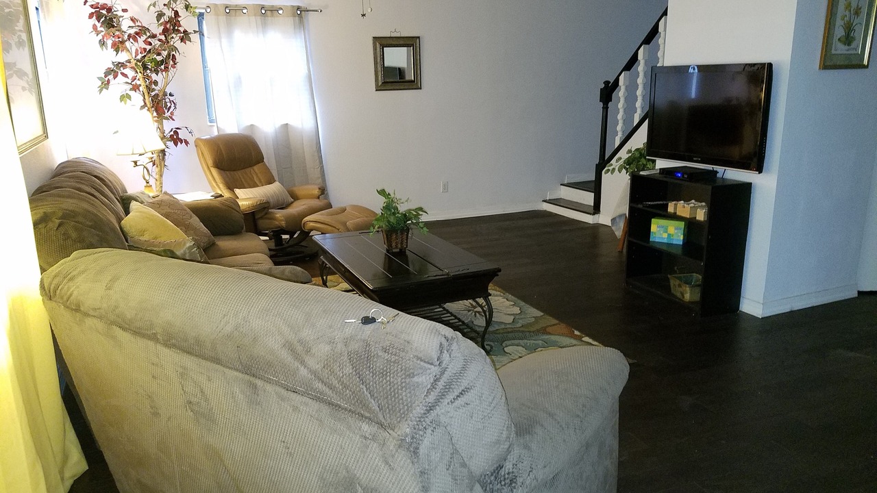 Photo of Livingroom in Lake Magdalene