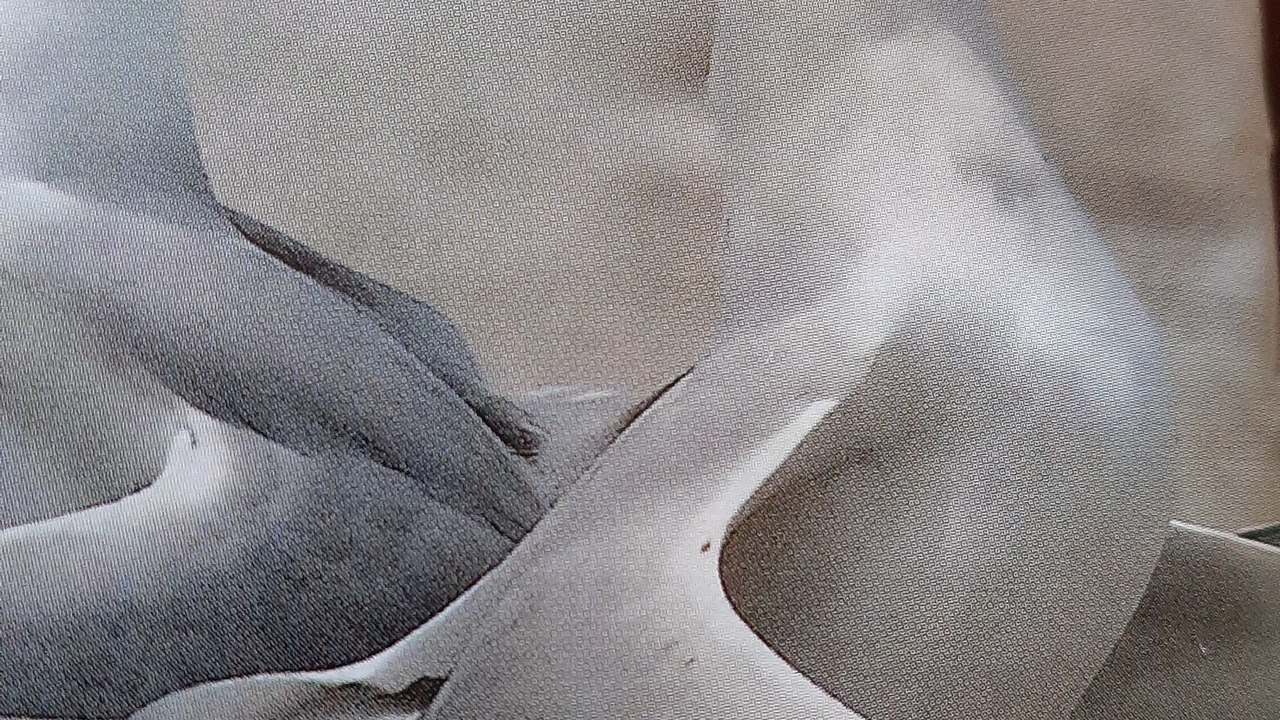 Photo of Others in Port Malabar