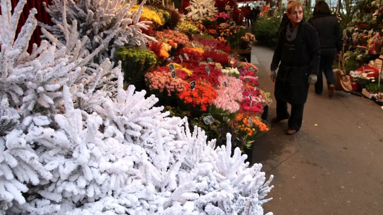 Photo of Outdoor in Epinettes