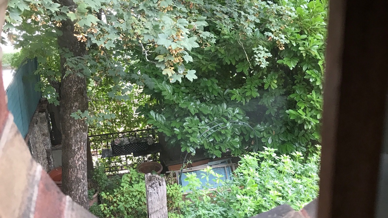 Photo of Outdoor in Saint-Cloud