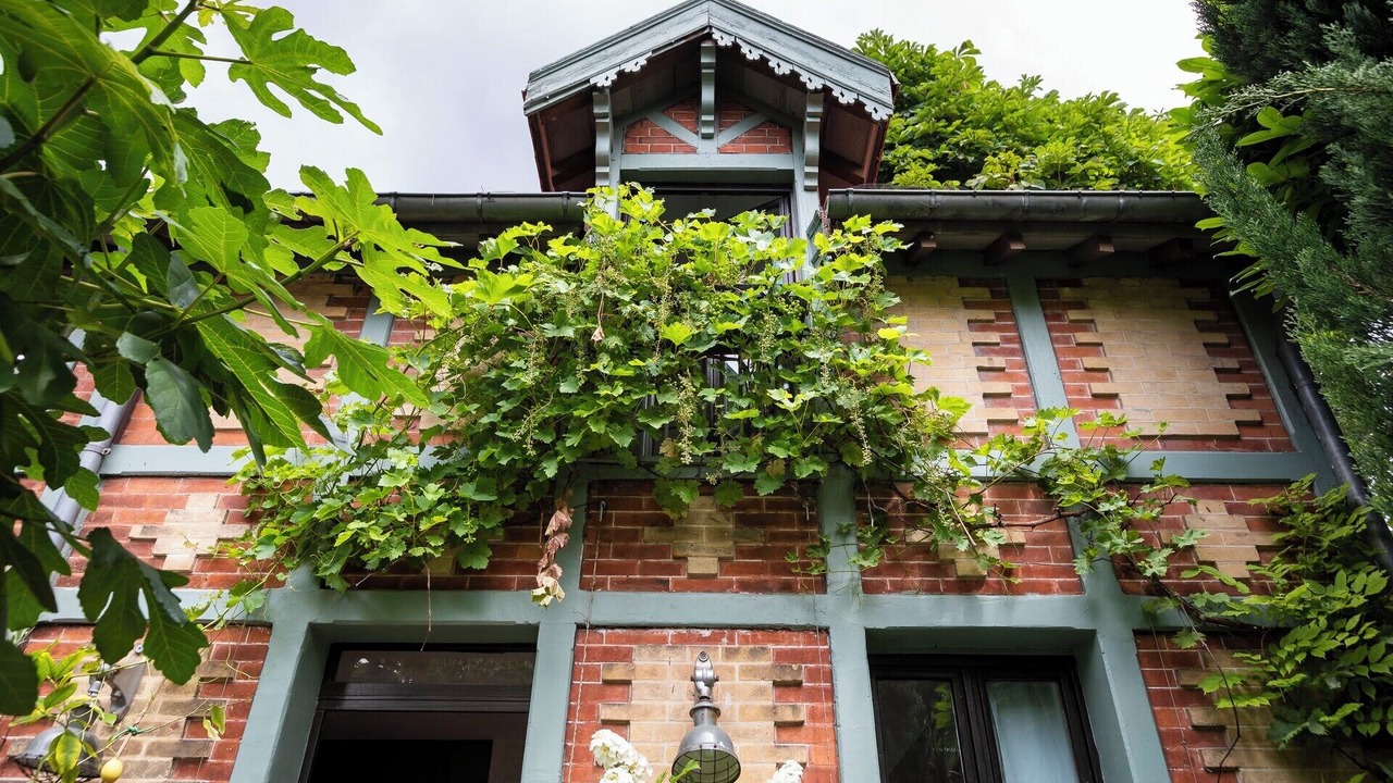 Photo of Outdoor in Saint-Cloud