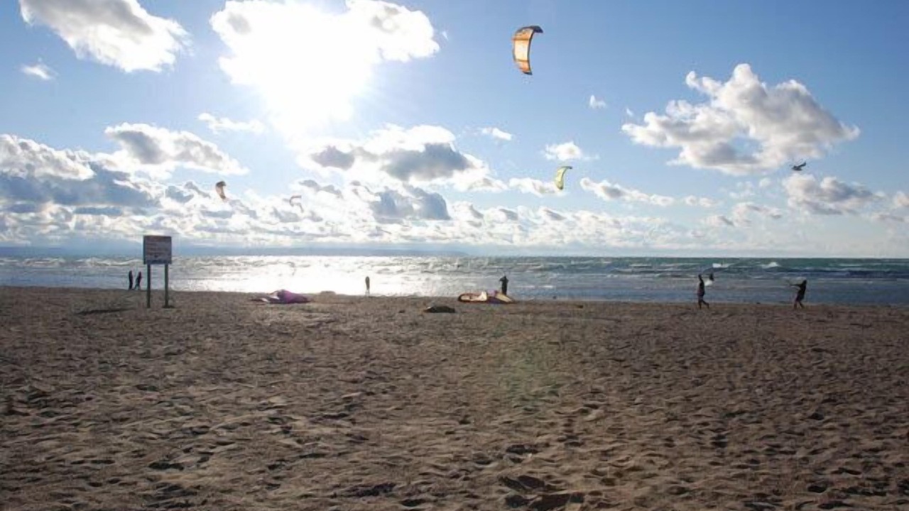 Photo of Others in Wasaga Beach