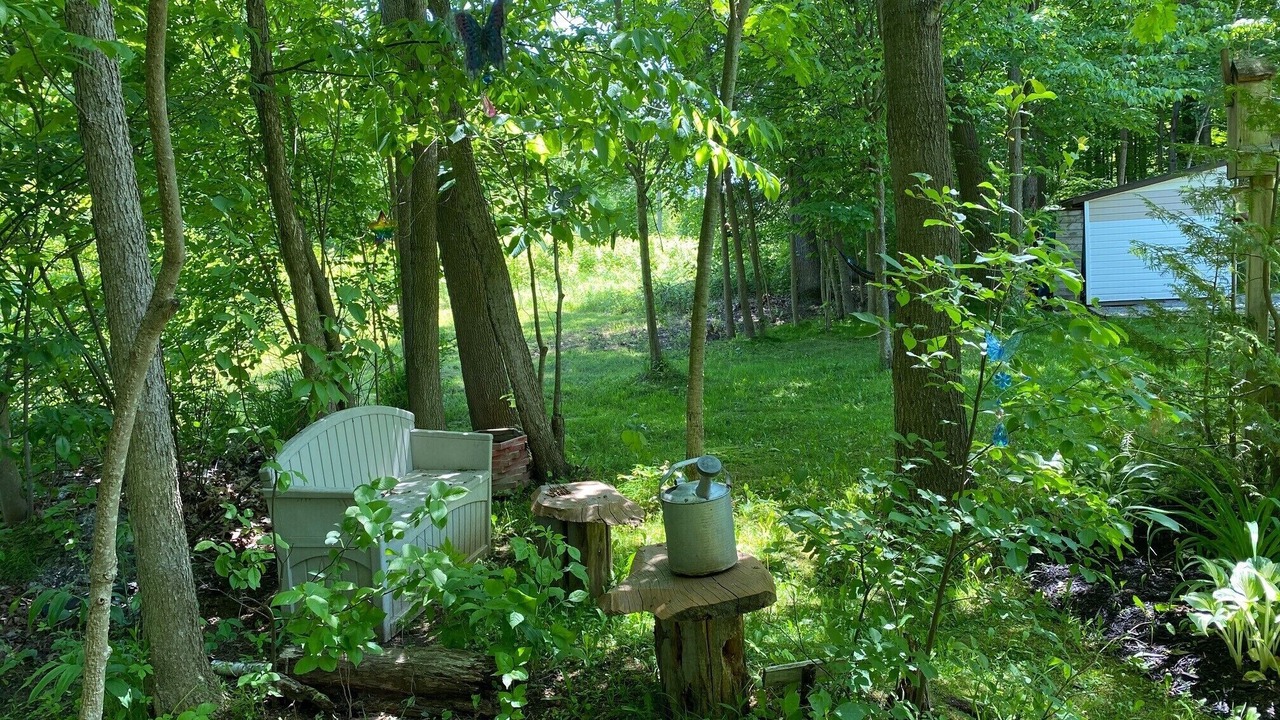 Photo of Outdoor in Tay