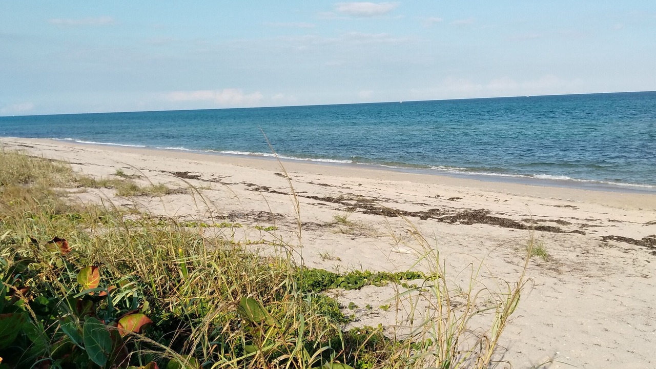 Photo of Others in Ocean Ridge