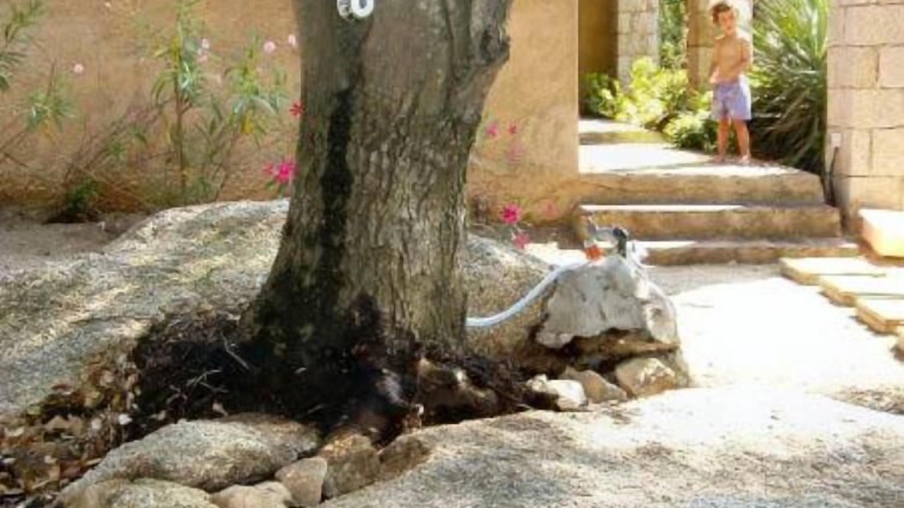 Photo of Outdoor in Pianotolli-Caldarello