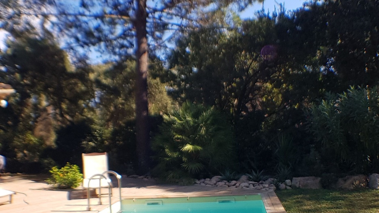 Photo of Outdoor in Porto-Vecchio