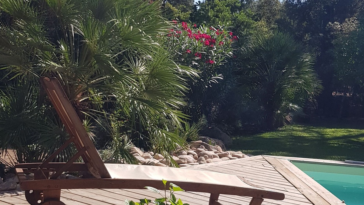 Photo of Outdoor in Porto-Vecchio