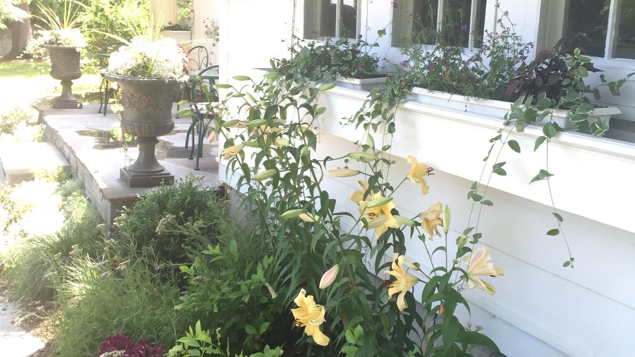 Photo of Outdoor in Trumansburg