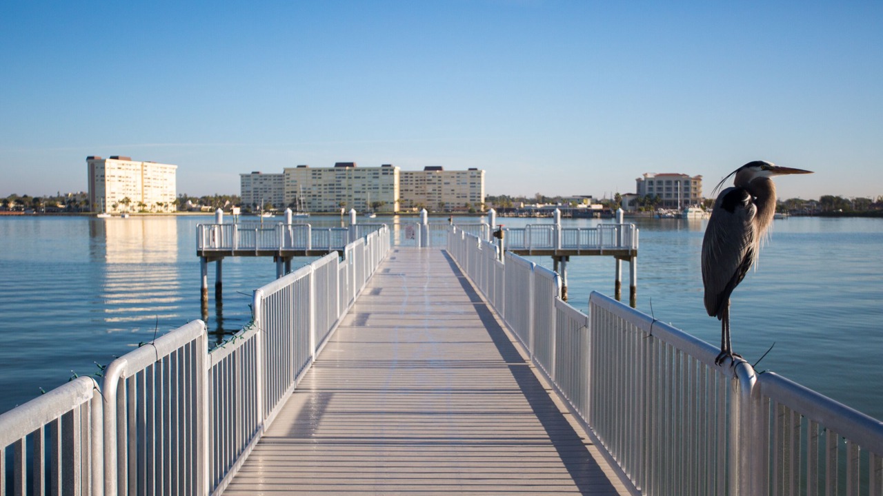 Photo of Outdoor in Madeira Beach