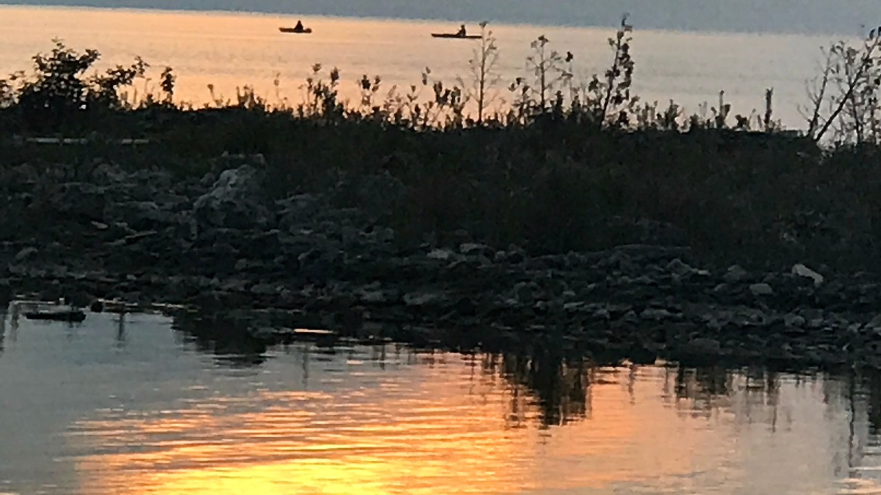 Photo of Others in Northern Bruce Peninsula