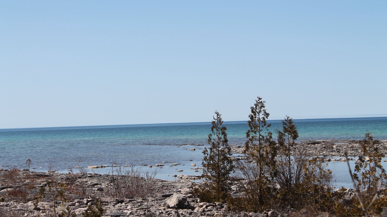 Photo of Others in Northern Bruce Peninsula