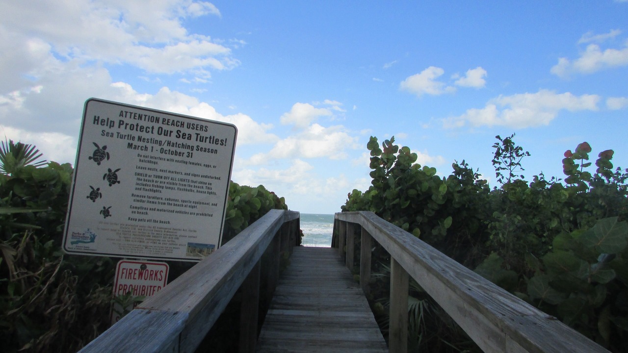 Photo of Outdoor in Ocean Oaks