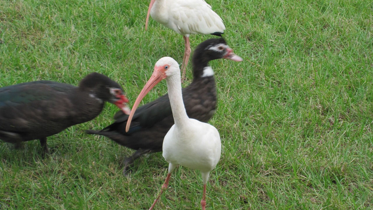 Photo of Others in Crescent Lakes