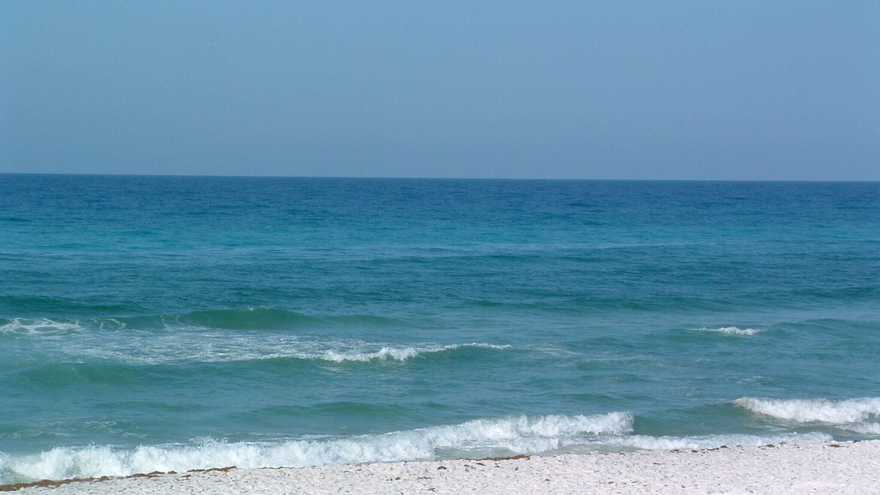 Photo of Others in Santa Rosa Beach
