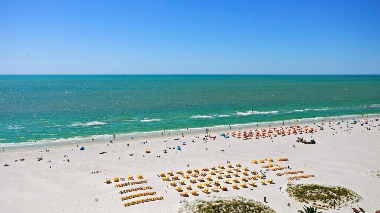 Photo of Others in Clearwater Beach