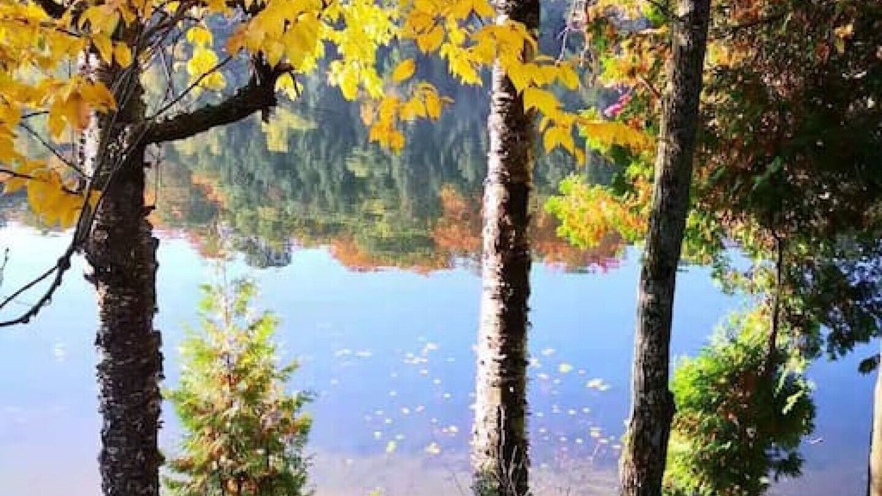 Photo of Outdoor in Seguin