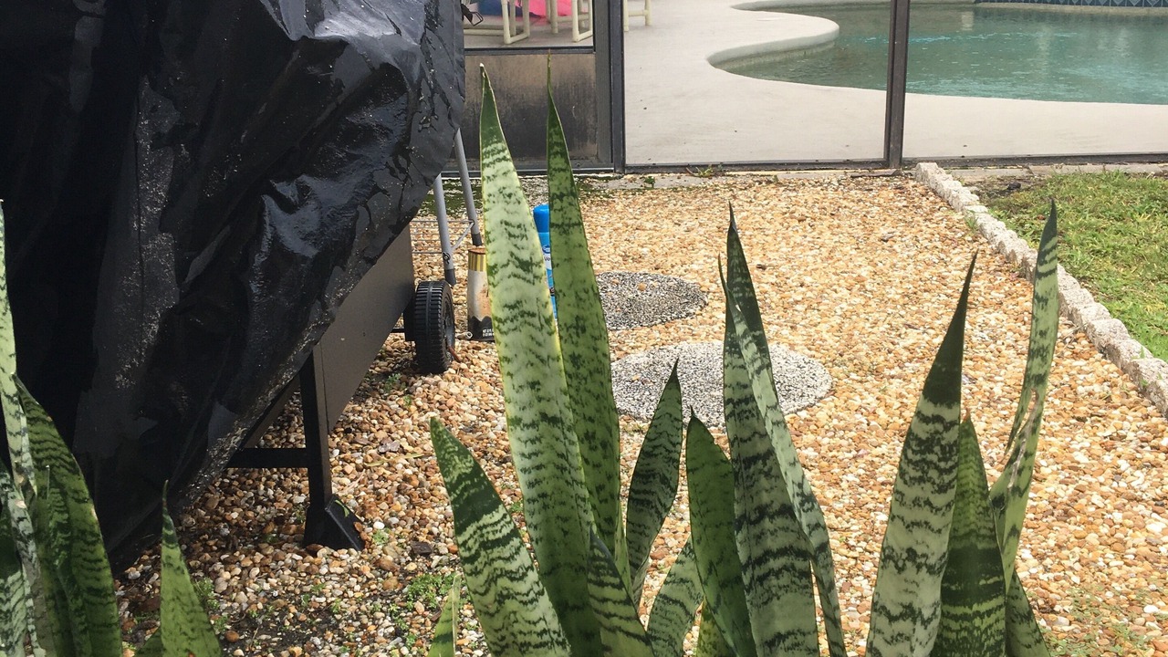 Photo of Others in Indian Ridge